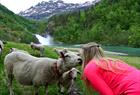 Adventure Tours - Fjell, fiske & sykkel