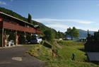 Tveit Camping