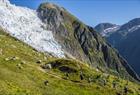 Flatbreen / Supphellebreen