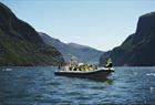 FjordSafari Extended