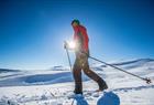 Sogndal Skisenter, Hodlekve