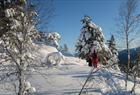 SnowShoe Balestrand
