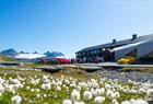 Sognefjellshytta