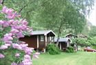 Flåm Camping & Vandrarheim