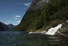 FjordSafari & Vandretur