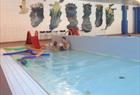 Swimmingpool Vesterland