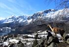 Skjolden Llamas