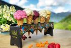 Alm Gard Ice Cream