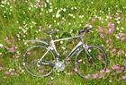 Bike Balestrand