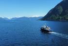 Fjord Cruise Vik - Balestrand - Fjærland