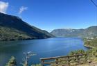 Cider Cruise Sognefjord