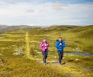 Thumbnail for Aktivitetar i Lærdal