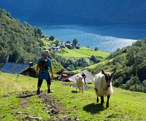 |Skjerdal Stølsysteri