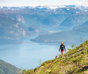 |Vandring Høyanger