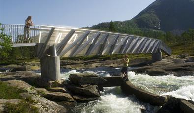 Nasjonal turistveg Gaularfjellet