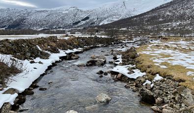 Viagraelva Selseng, Sogndal