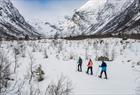 Snowshoe Hiking in the Glacial Landscape