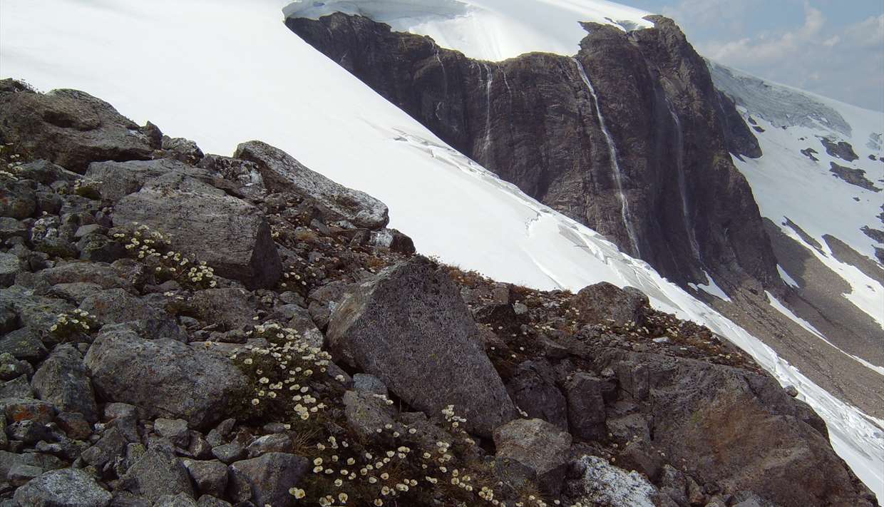 Fresvikbreen Glacier