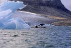 Kayak on glacier water