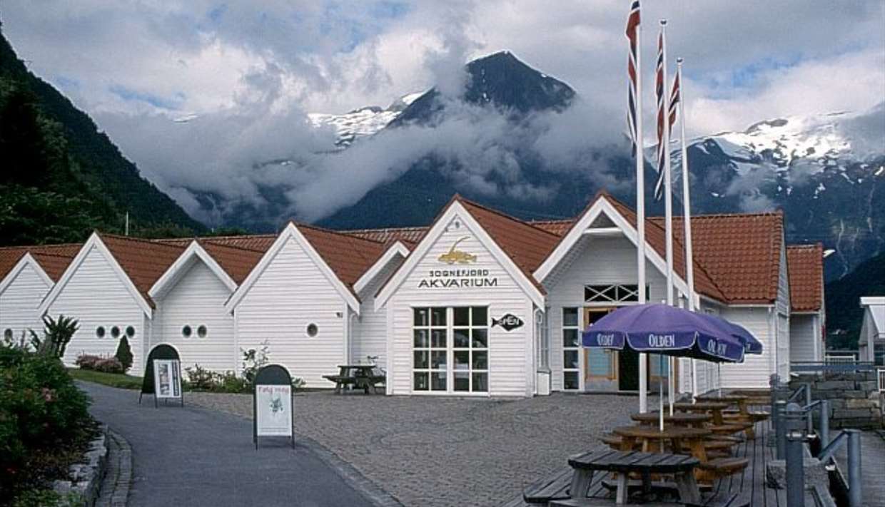 Cafe Fløyfisken