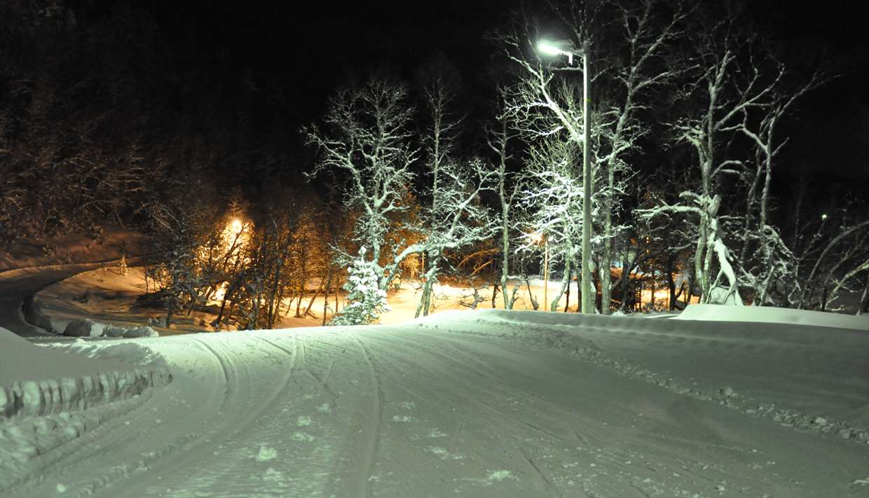Seimsåsen Ski resort, Årdal