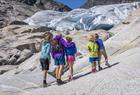 Guided hike to Nigardsbreen viewpoint
