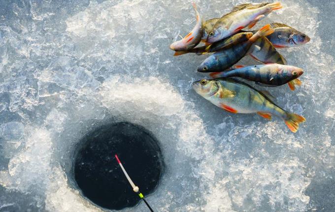 Ice fishing Sogndal