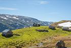 Nasjonal turistveg Aurlandsfjellet