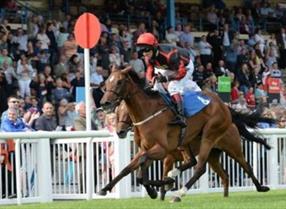 Newton Abbot Races