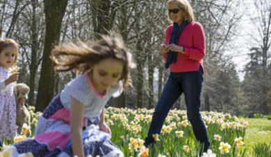 Cadbury Easter Egg Hunt at Compton Castle