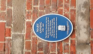 Mary Anning day