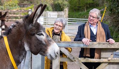 Donkey Sanctuary Group Travel