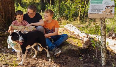 A family and their collie sitting in the forest in front of a Forest Walkies activity panel