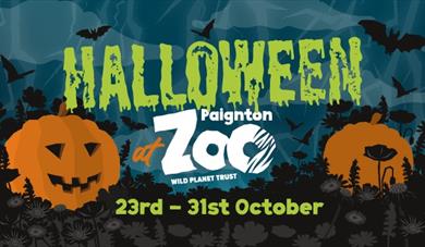Halloween at Paignton Zoo