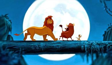 The Lion King Under The Stars