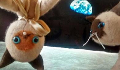 SPACE CATS