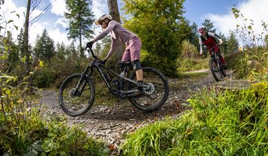 Cycling at Haldon Forest Park