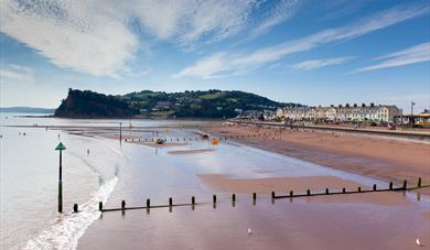 Venus Cafe Teignmouth