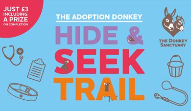 Can you find the items the loveable adoption donkeys have hidden around the sanctuary