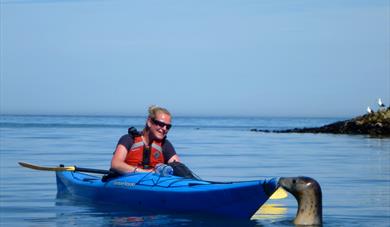 Friendly Seal!