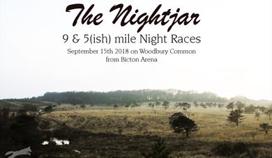 The NightJar 9 & 5 mile night race