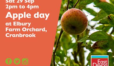 Apple day at Elbury Farm Orchard