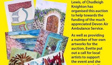 Charity Art Auction for Devon Air Ambulance