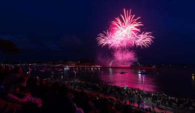 British Firework Championships on Plymouth Hoe