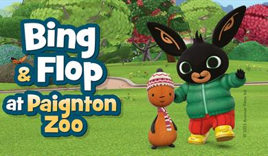 Bing & Flop