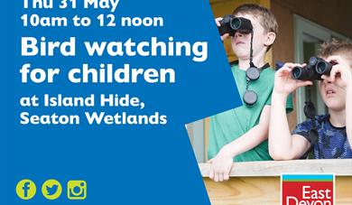 Bird watching for children