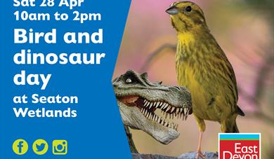 Birds and dinosaurs activities