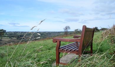 Blackdown Hill AONB View