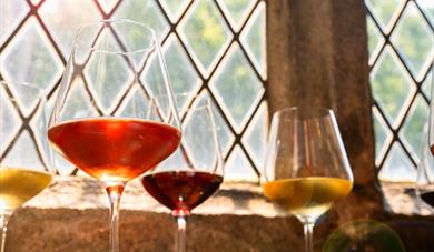 Winter Warmers Wine Tasting with Elly Owen