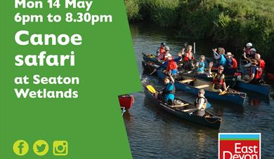 Canoe safari